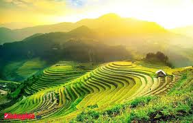 Vẻ đẹp thiên nhiên Tây Tiến trong bài thơ cùng tên của Quang Dũng